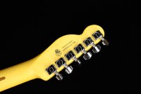 Fender American Professional II Telecaster - RW DKN