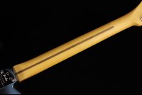 Fender American Professional II Telecaster - RW DKN