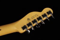 Fender American Professional II Telecaster - RW DKN