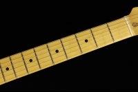 Fender American Professional II Telecaster - MN BK