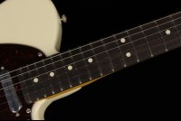 Fender American Professional II Telecaster - RW OWT