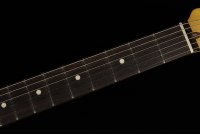 Fender American Professional II Telecaster - RW OWT