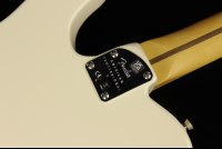Fender American Professional II Telecaster - RW OWT