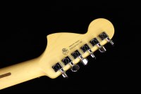 Fender American Professional II Telecaster Deluxe - RW MER
