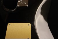 Fender American Ultra Stratocaster - MN TXT