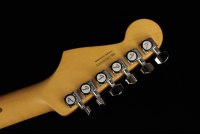 Fender American Ultra Stratocaster - RW APL