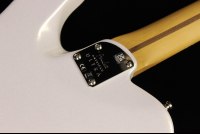 Fender American Ultra Telecaster - RW APL