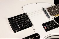 Fender American Ultra Telecaster - RW APL
