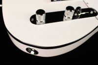 Fender American Ultra Telecaster - RW APL