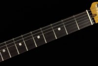 Fender American Ultra Telecaster - RW APL