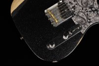 Fender Brad Paisley Road Worn Esquire