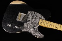 Fender Brad Paisley Road Worn Esquire