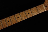 Fender Custom 1959 Stratocaster Stratocaster Relic Masterbuilt Levi Perry - FASRFG