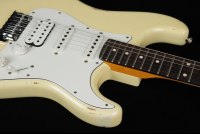 Fender Custom 1960 Stratocaster HSS Heavy Relic - AVWT
