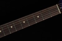 Fender Custom 1960 Telecaster Custom NOS - PRSPK