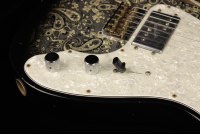 Fender Custom 1972 Telecaster Thinline Journeyman Relic - ABP