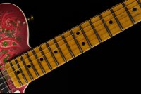 Fender Custom Limited Edition Double Esquire Custom Relic - APP