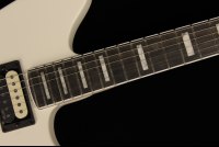 Fender Jim Root Jazzmaster V4