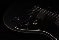 Fender Jim Root Stratocaster