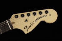 Fender Jim Root Stratocaster