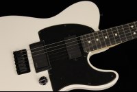 Fender Jim Root Telecaster