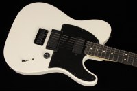 Fender Jim Root Telecaster