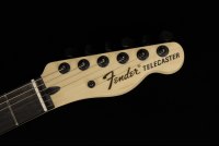 Fender Jim Root Telecaster