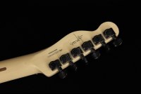 Fender Jim Root Telecaster