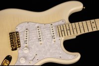 Fender Richie Kotzen Stratocaster - TWS