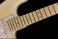 Fender Richie Kotzen Stratocaster - TWS