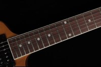Gibson 70's Explorer - AN