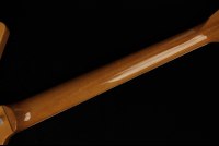 Gibson 70's Explorer - AN