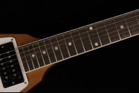Gibson 70's Flying V - AN