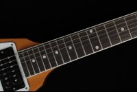 Gibson 70's Flying V - AN