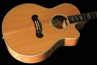 Gibson LC-2 Sonoma
