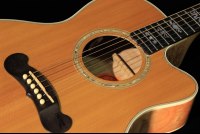 Gibson LC-2 Sonoma