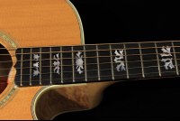 Gibson LC-2 Sonoma