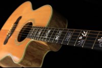 Gibson LC-2 Sonoma