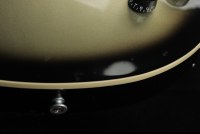 Gibson Adam Jones Les Paul Standard