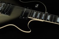 Gibson Adam Jones Les Paul Standard