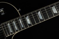 Gibson Adam Jones Les Paul Standard