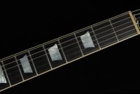 Gibson Adam Jones Les Paul Standard