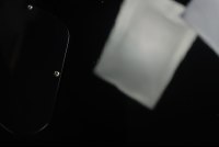 Gibson Adam Jones Les Paul Standard