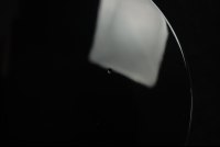 Gibson Adam Jones Les Paul Standard