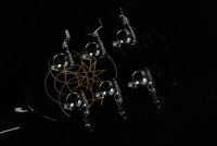 Gibson Adam Jones Les Paul Standard