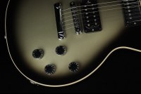 Gibson Adam Jones Les Paul Standard