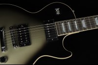 Gibson Adam Jones Les Paul Standard