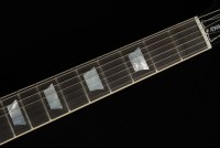 Gibson Adam Jones Les Paul Standard