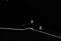 Gibson Custom Dave Mustaine Flying V EXP Limited Edition