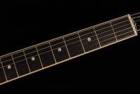 Gibson ES-335 - SC